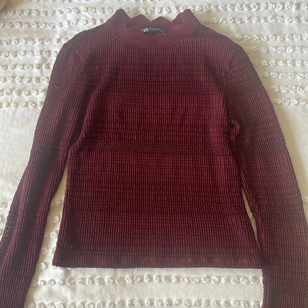 Zara long sleeves mesh top